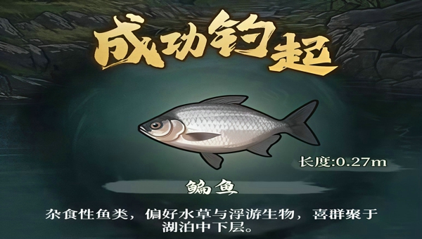 502a60e6-2ab4-4ff8-b220-26ec79593c14.jpg