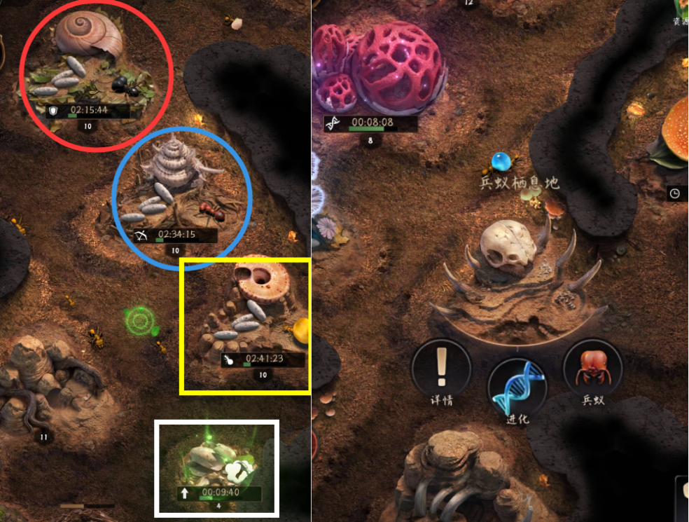 小小蚁国最强区域战对手实力相当吗 最强区域战玩法攻略