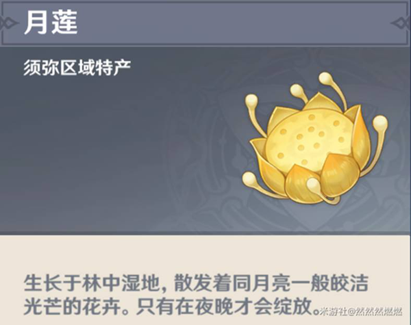 原神月莲哪里多8