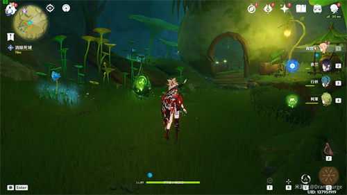 觉树之堂死域草种子在哪6