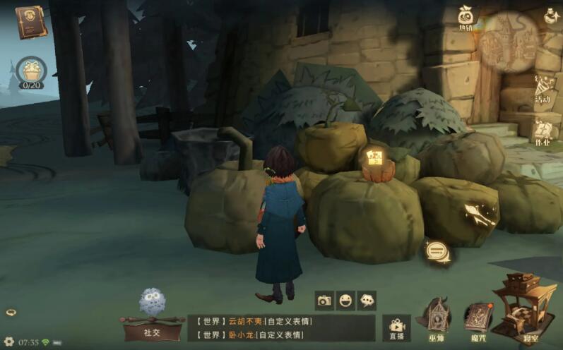 哈利波特魔法觉醒南瓜怎么种的2