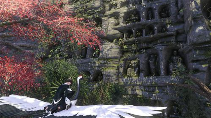 1727020880483.jpg 37.jpg