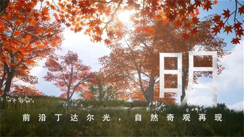 1728113103553.jpg 44.jpg