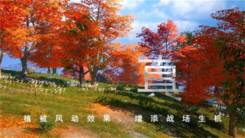 1728802295996.jpg 41.jpg