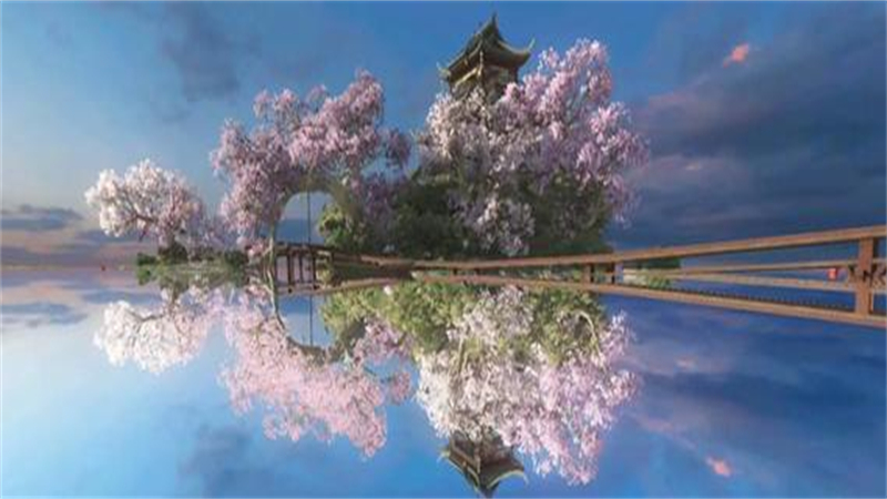 1735898986564.jpg 19.jpg