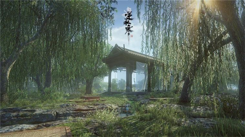 1737355924064.jpg 27.jpg