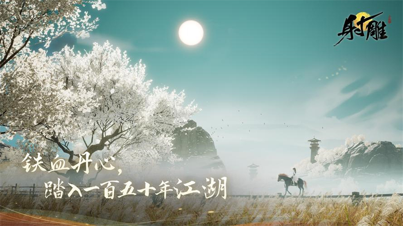 1740901594764.jpg 46.jpg