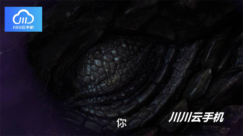 1757588961677.jpg 6.jpg