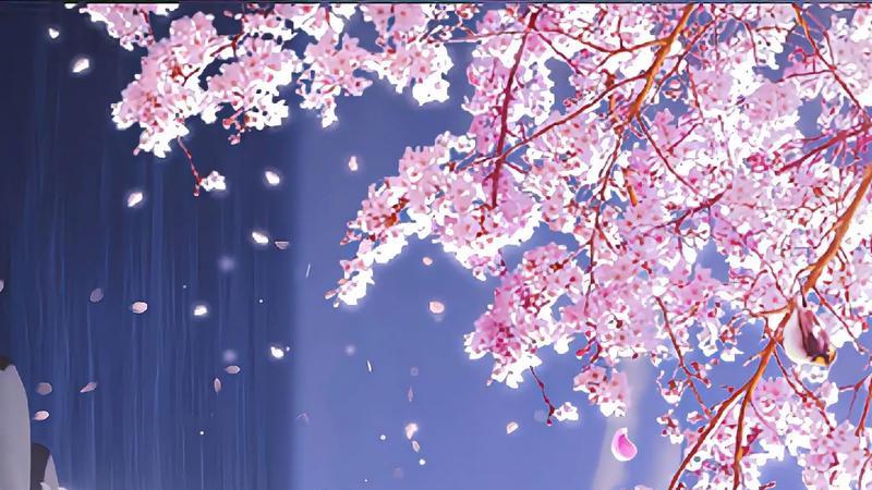 1765638987456.jpg 5.jpg